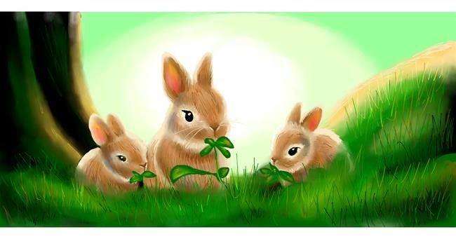 Drawing of Rabbit by Yukhei
