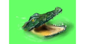 Aligator - autor: Jan
