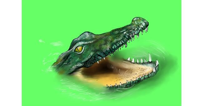 Drawing of Alligator by Jan