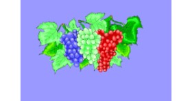 Drawing of Grapes by ThasMe13