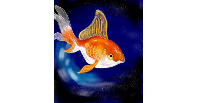 Drawing of Goldfish by Nishita