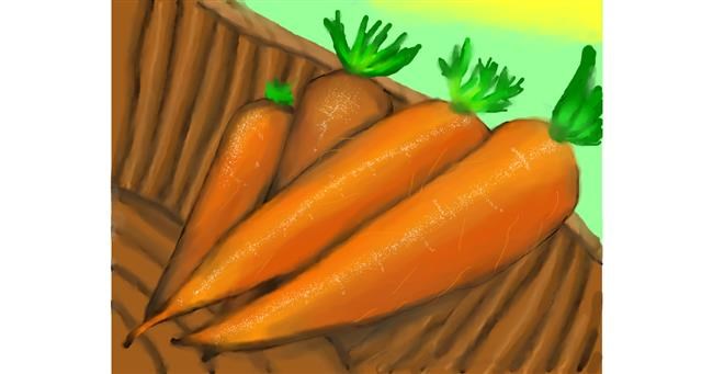 Drawing of Carrot by Zi