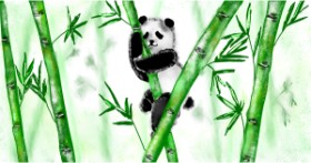 Drawing of Bamboo by Eclat de Lune