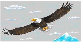 Drawing of Eagle by shiNIN