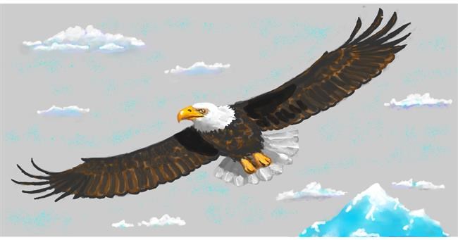 Drawing of Eagle by shiNIN