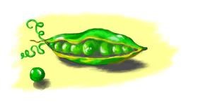 Drawing of Peas by Debidolittle