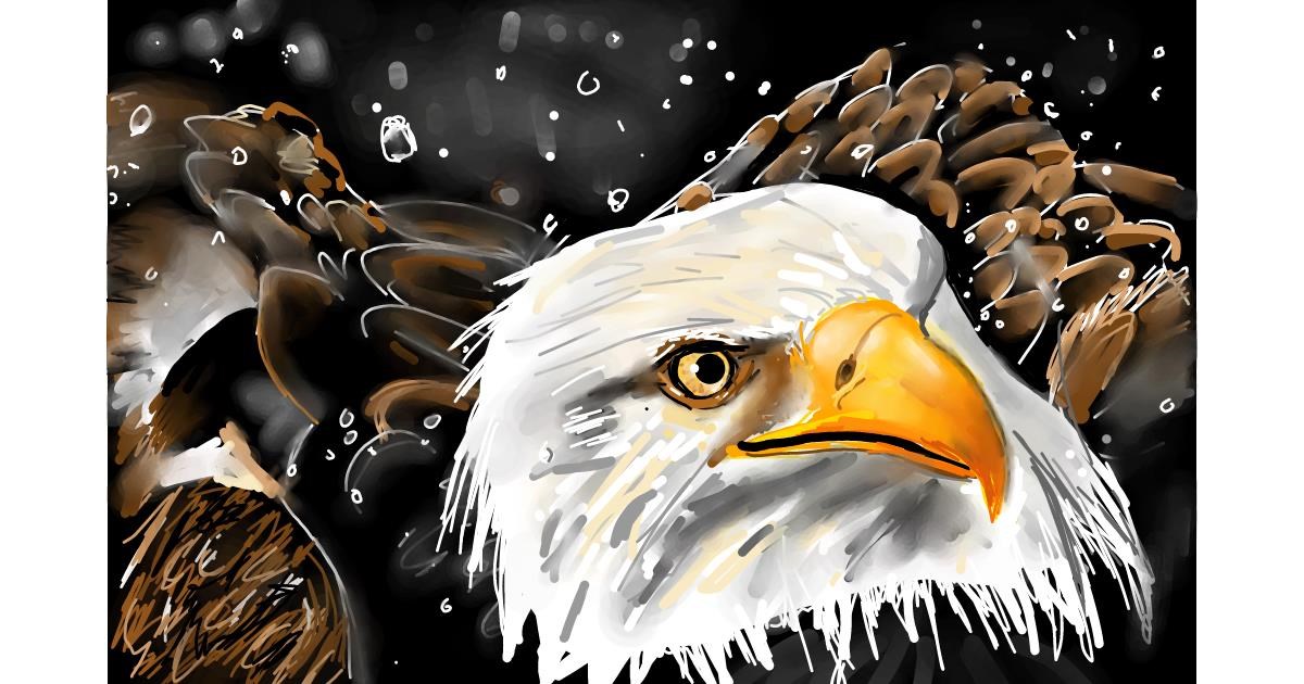df027f27_eagle?width=1200