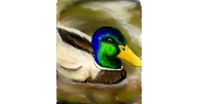 Drawing of Duck by 🌌Mom💕E🌌