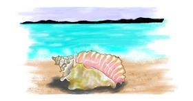 Drawing of Seashell by DebbyLee