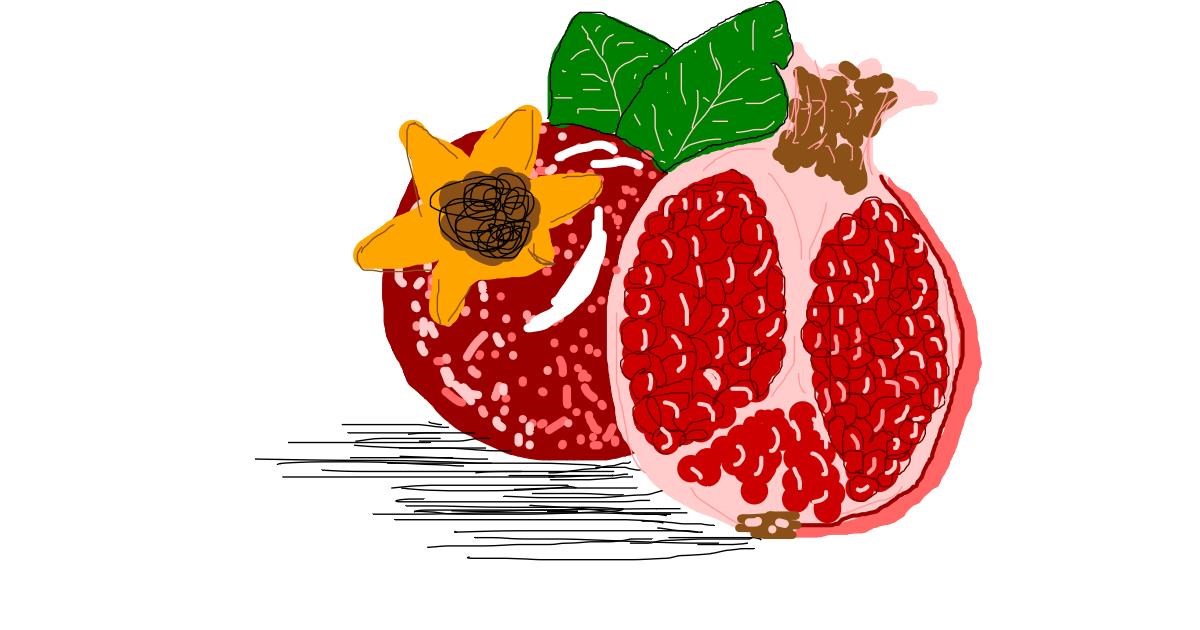Drawing of Pomegranate by i bims