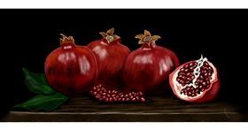 Drawing of Pomegranate by Chaching