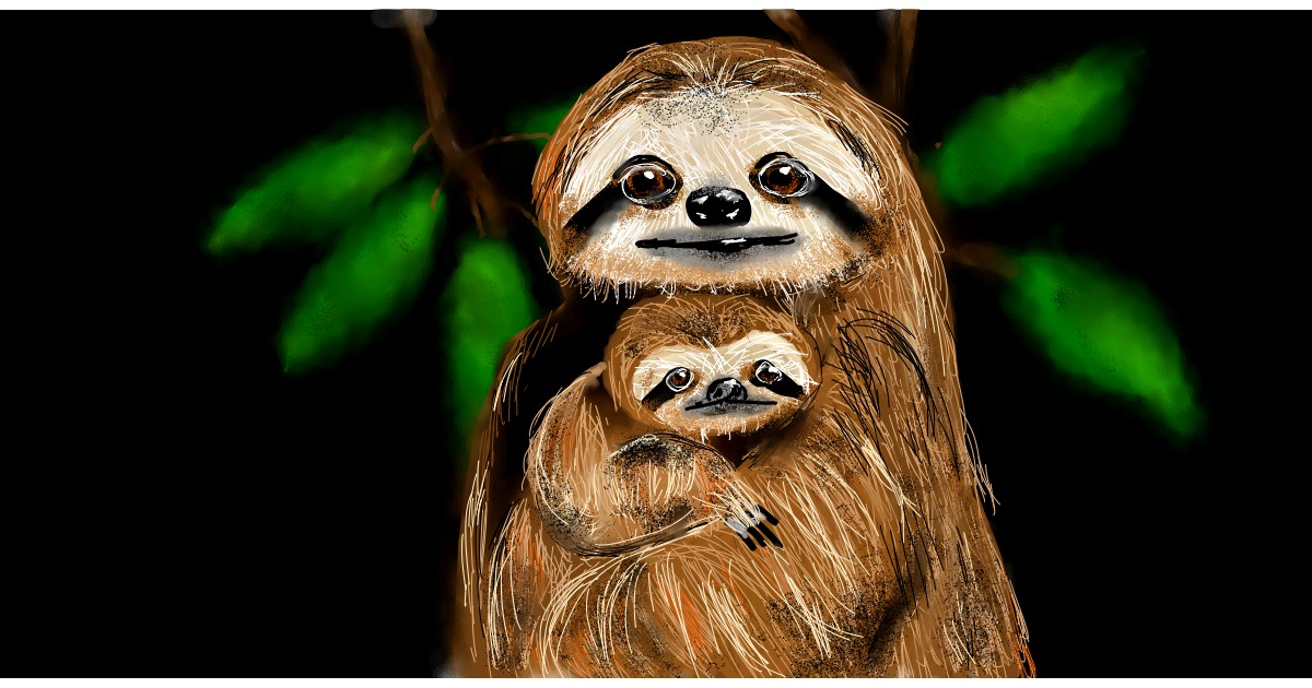 Sloth Drawing - Gallery and How to Draw Videos!