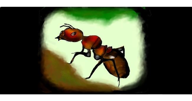 Drawing of Ant by Soraya
