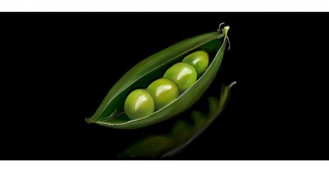Drawing of Peas by Chaching