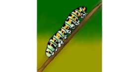Drawing of Caterpillar by DaydreamQueen🌙