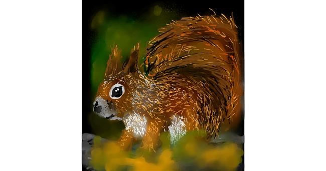 Drawing of Squirrel by Eclat de Lune