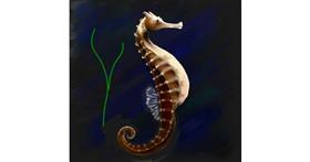 Drawing of Seahorse by Andromeda