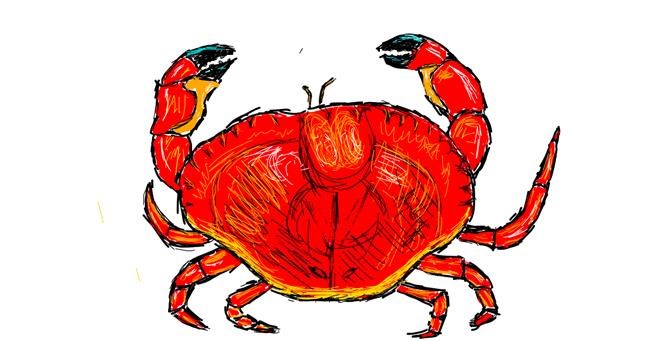 Drawing of Crab by lenny