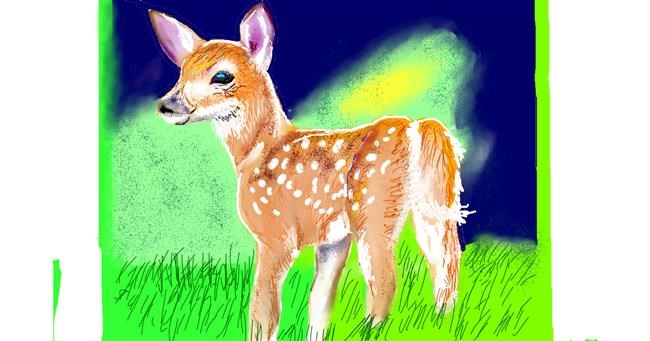 Drawing of Deer by GJP