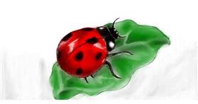Drawing of Ladybug by whatever