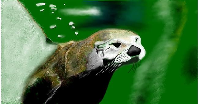 Drawing of Otter by Chaching