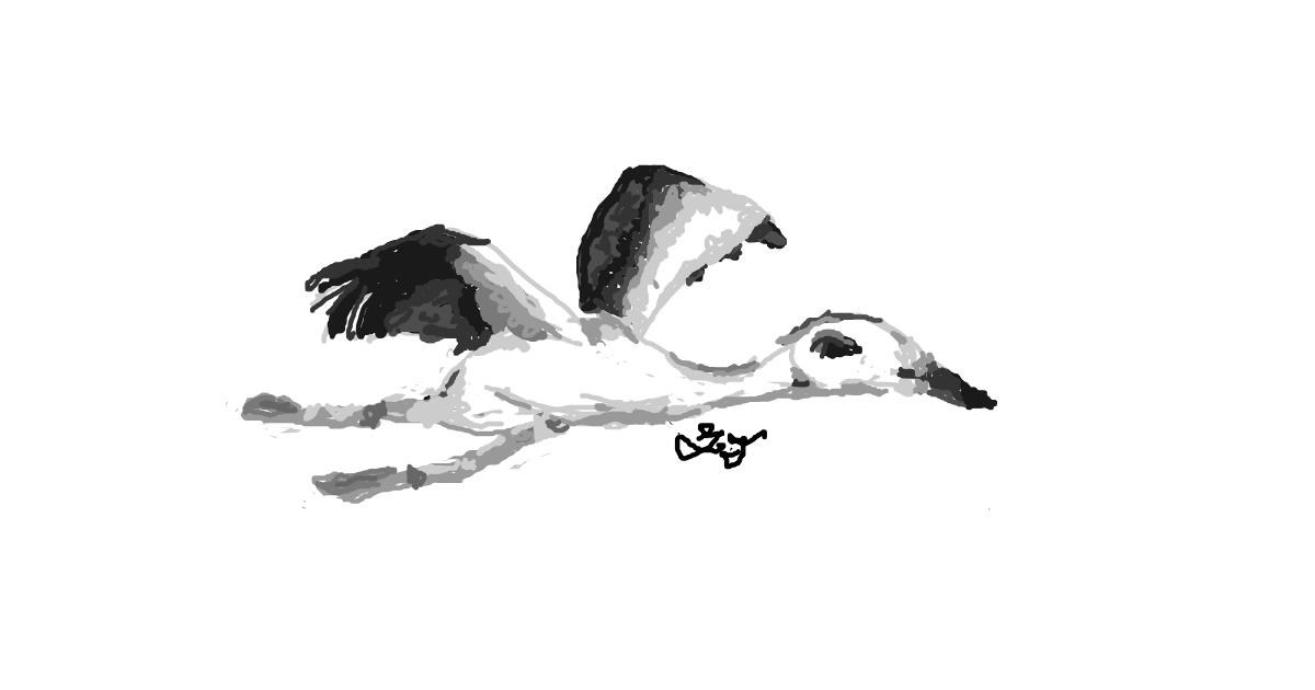 Drawing of Stork by UwU Bonch