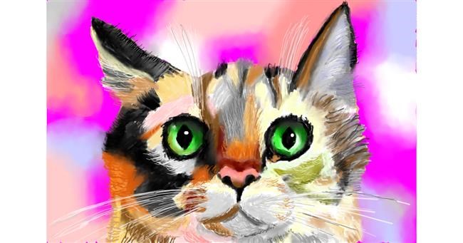 Drawing of Cat by Wizard