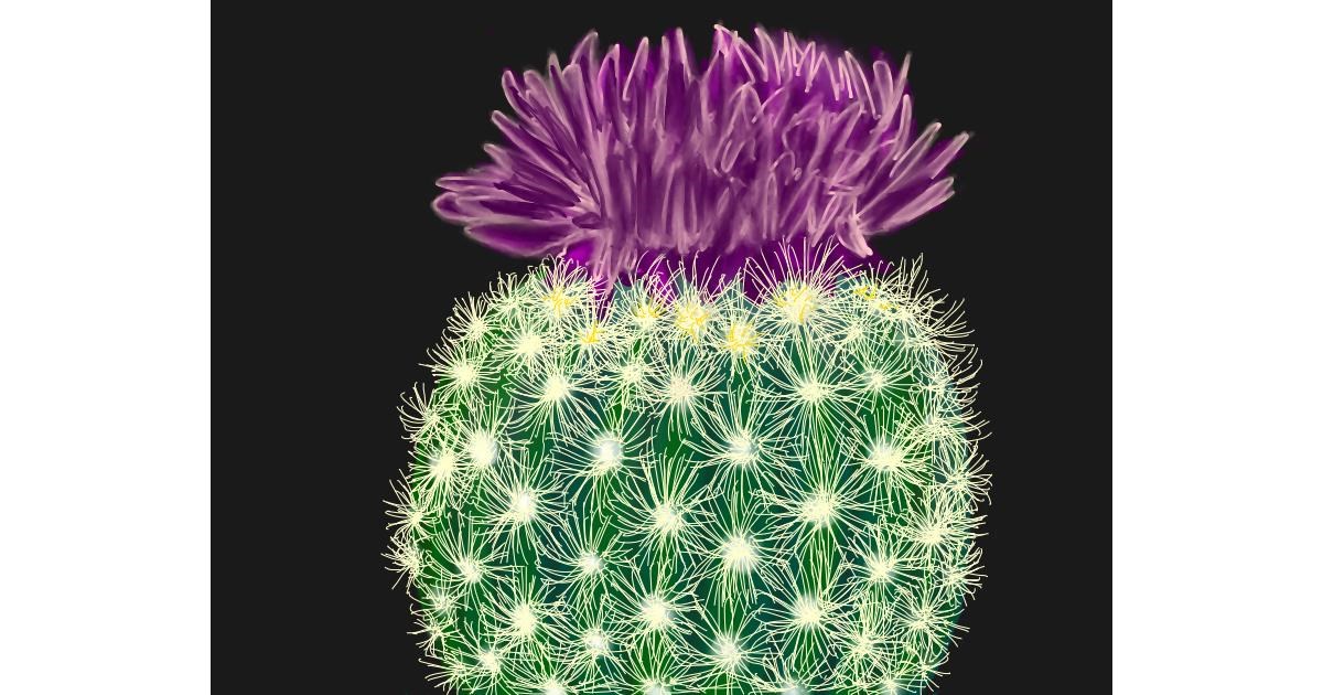 Drawing of Cactus by Erinem