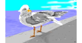 Drawing of Bird by Flowerpot