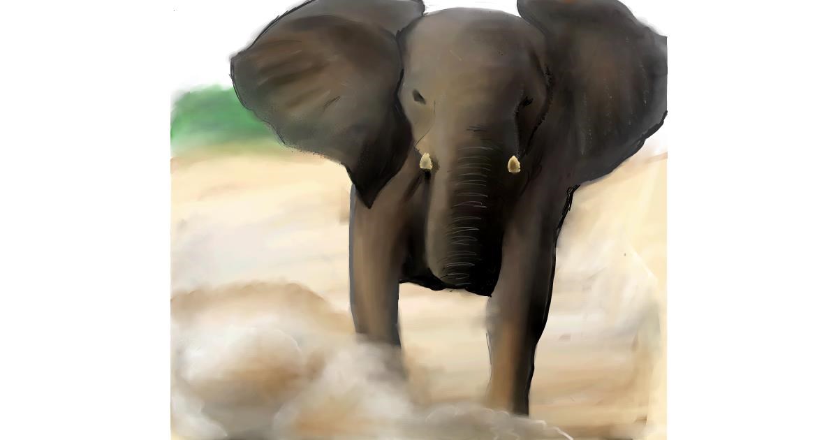 Drawing of Elephant by Lou