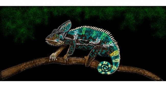 Drawing of Chameleon by Chaching