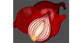 Zwiebel-Zeichnung von Erinem