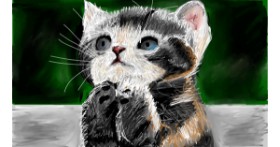 Drawing of Kitten by Mia