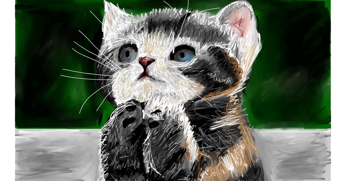 Drawing of Kitten by Soaring Sunshine