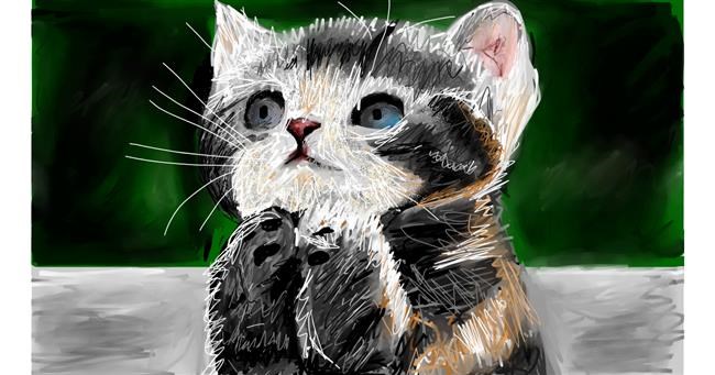 Drawing of Kitten by Mia