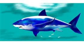 Drawing of Shark by Kim