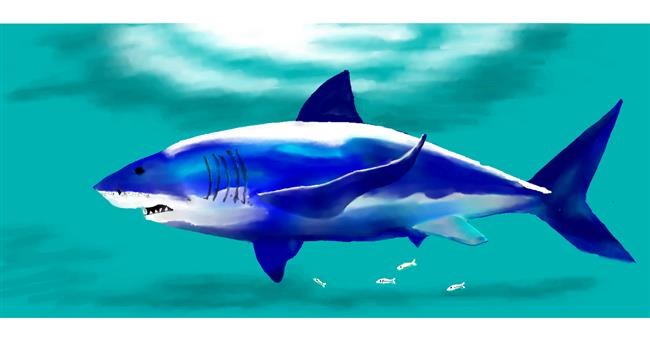 Drawing of Shark by Kim