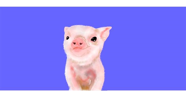 Drawing of Pig by Kim