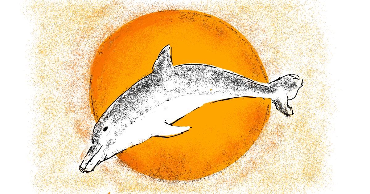 Drawing of Dolphin by Lsk