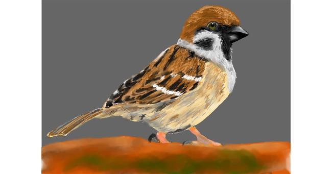 Drawing of Sparrow by Humo de copal