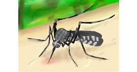 Drawing of Mosquito by Zi