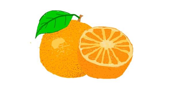 Drawing of Orange by Boople