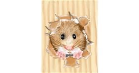 Drawing of Hamster by Vinci