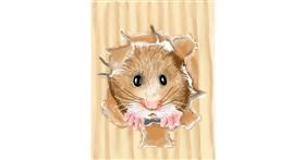 Drawing of Hamster by ⋆su⋆vinci彡