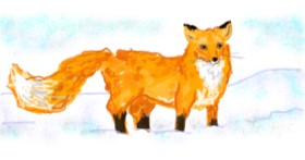 Drawing of Fox by Flummoxed