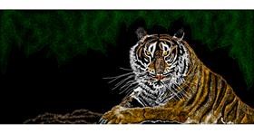 Drawing of Tiger by Chaching