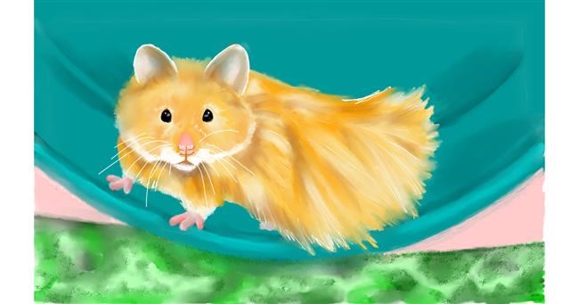 Drawing of Hamster by Tim