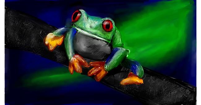 Drawing of Frog by Mia