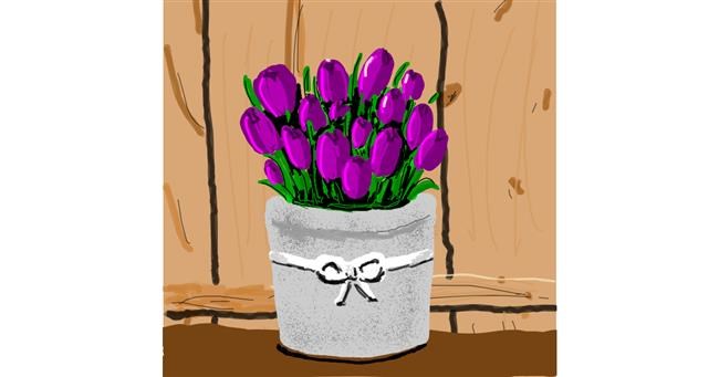 Drawing of Tulips by Joze