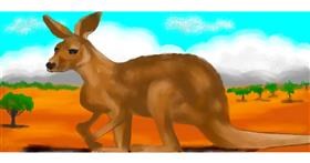 Drawing of Kangaroo by Debidolittle